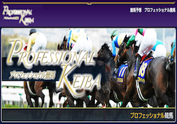 プロフェッショナル競馬