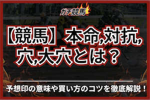 【競馬】本命・対抗・穴・大穴とは？予想印の意味や活用方法を徹底解説！