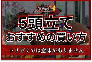 5頭立てのアイキャッチ