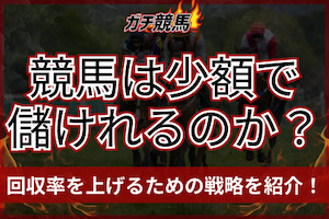競馬　少額で儲ける　