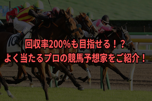 回収率は200％超！？プロの競馬予想をガチ競馬が徹底検証！