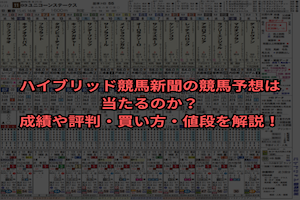 ハイブリッド競馬新聞　サムネイル