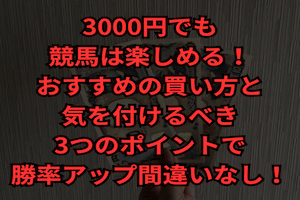 競馬　3000円　買い方　サムネイル