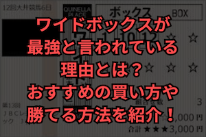 ワイドボックス　最強　サムネイル