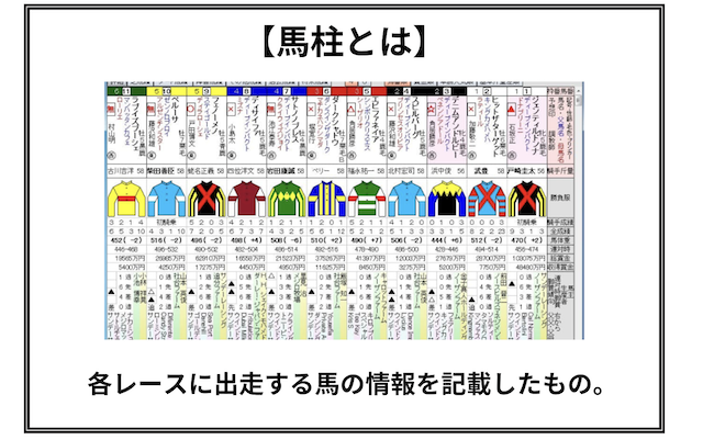 競馬　1番人気　買い続ける　馬柱