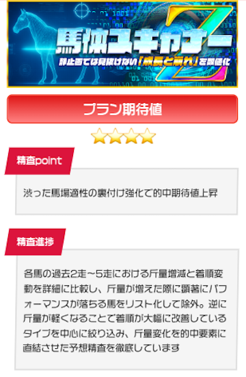 テキカク　精査報告書