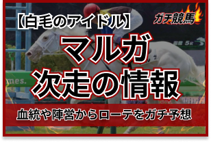 マルガ　アイキャッチ