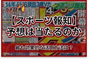 スポーツ報知のアイキャッチ