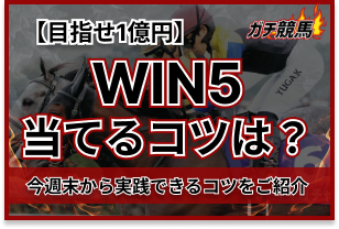 WIN5の当てるコツ アイキャッチ