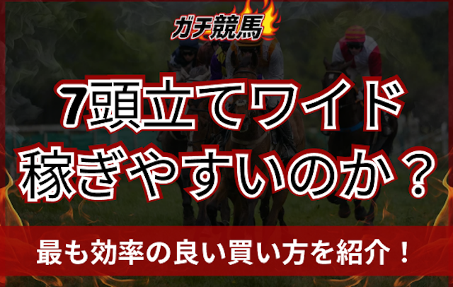 ワイド7頭立て トップ