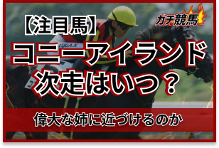 コニーアイランド　アイキャッチ
