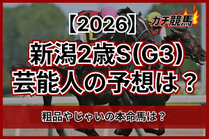 ピックアップ記事2