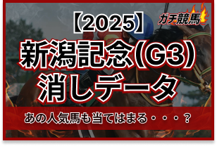 新潟記念の消しデータアイキャッチ