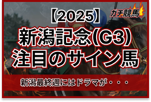 新潟記念のサイン馬券 アイキャッチ