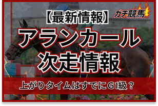 アランカールの次走アイキャッチ