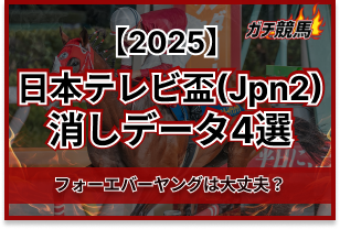 thumbnail-nihontvhai