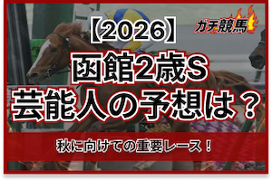 ピックアップ記事2