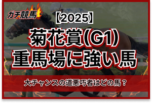 菊花賞の重馬場に強い馬 アイキャッチ