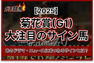 菊花賞のサイン馬券　アイキャッチ