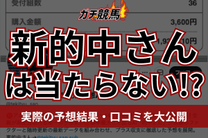 新的中さん　アイキャッチ