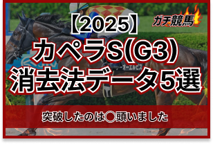 カペラSの消去法データ　アイキャッチ