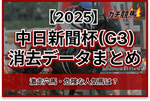 中日新聞杯の消去データ　アイキャッチ