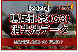 鳴尾記念の消去法データ　アイキャッチ