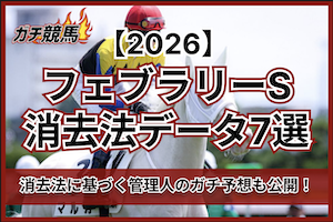フェブラリーステークス消去法データのサムネイル