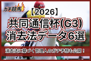 共同通信杯の消去法データのサムネイル