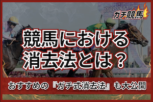 競馬消去法のサムネイル