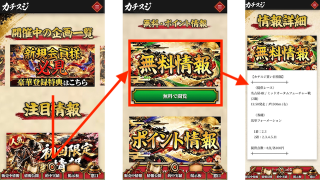 カチスジ受け取り画像