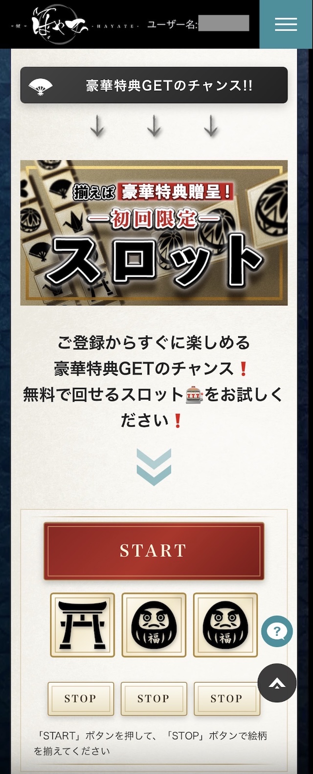颯FAQ画像3